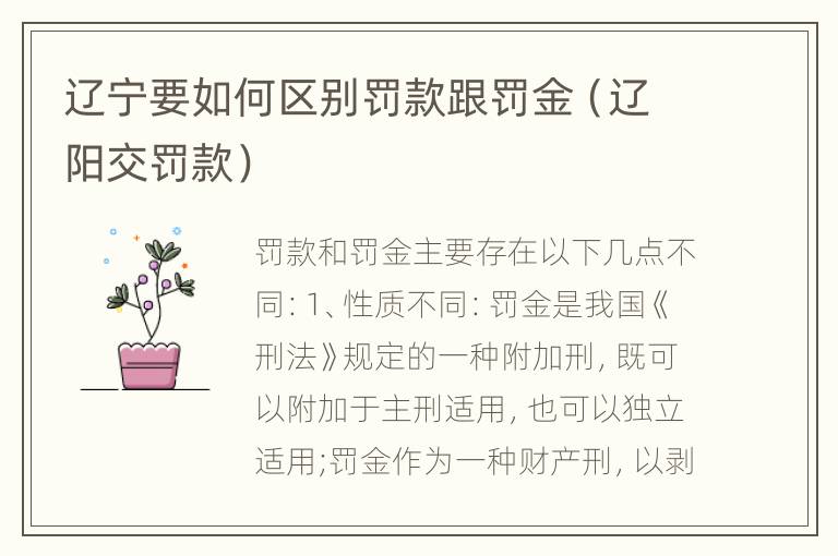 辽宁要如何区别罚款跟罚金（辽阳交罚款）