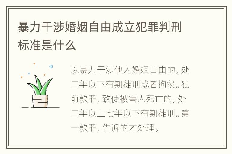 暴力干涉婚姻自由成立犯罪判刑标准是什么