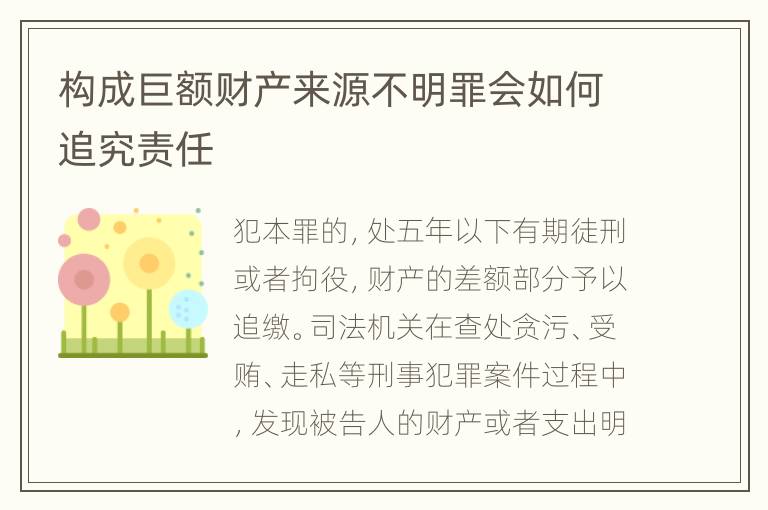 构成巨额财产来源不明罪会如何追究责任