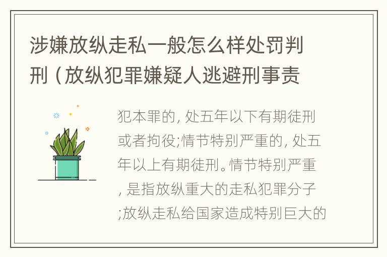 涉嫌放纵走私一般怎么样处罚判刑（放纵犯罪嫌疑人逃避刑事责任）