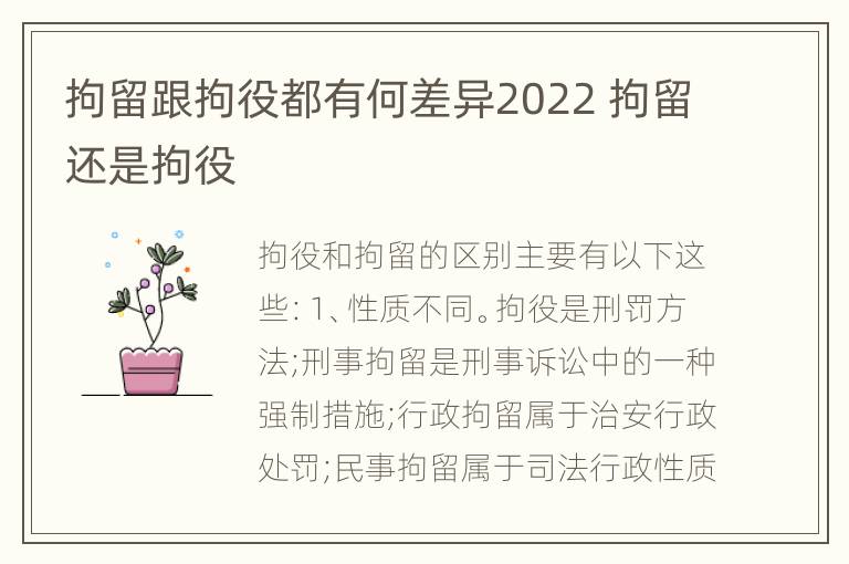 拘留跟拘役都有何差异2022 拘留还是拘役