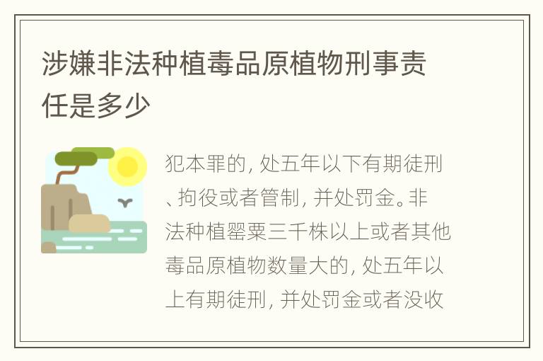 涉嫌非法种植毒品原植物刑事责任是多少