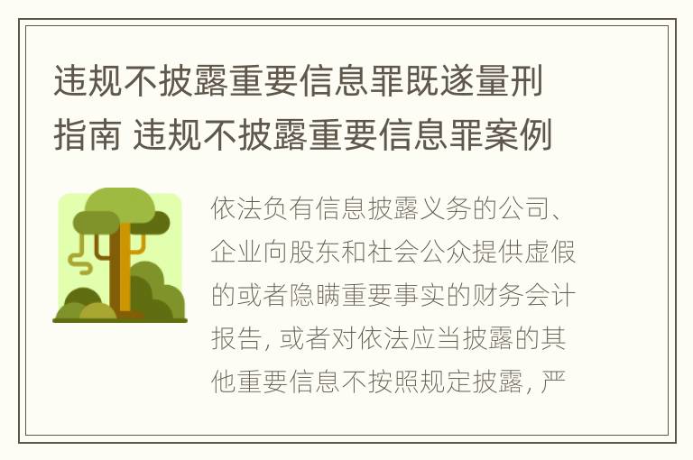 违规不披露重要信息罪既遂量刑指南 违规不披露重要信息罪案例