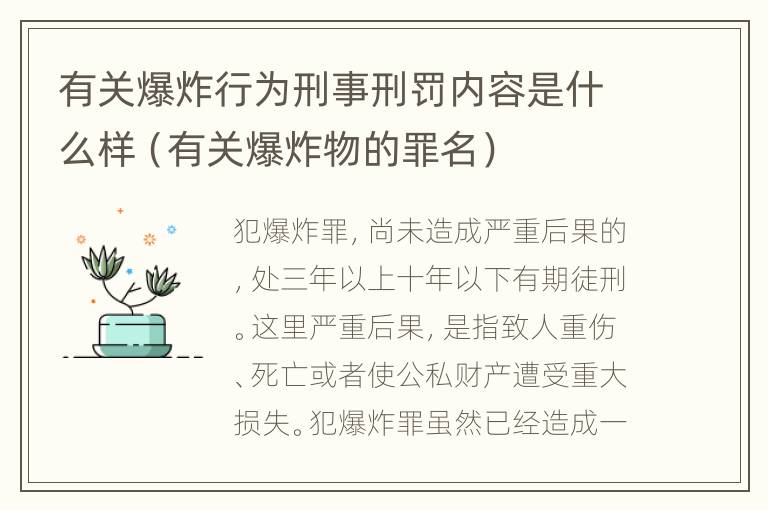 有关爆炸行为刑事刑罚内容是什么样（有关爆炸物的罪名）