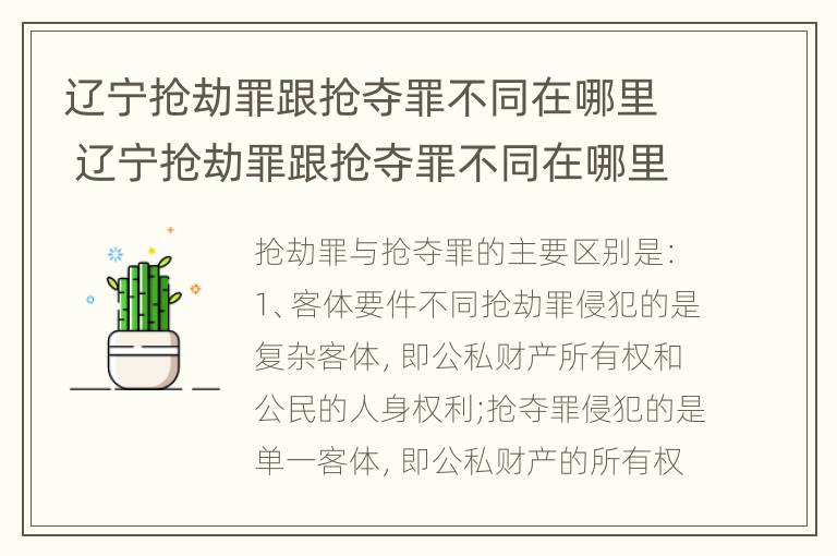 辽宁抢劫罪跟抢夺罪不同在哪里 辽宁抢劫罪跟抢夺罪不同在哪里查