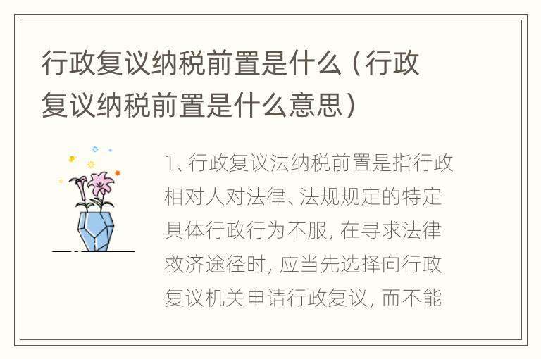 行政复议纳税前置是什么（行政复议纳税前置是什么意思）