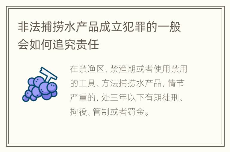 非法捕捞水产品成立犯罪的一般会如何追究责任