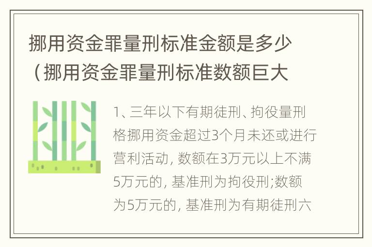 挪用资金罪量刑标准金额是多少（挪用资金罪量刑标准数额巨大）