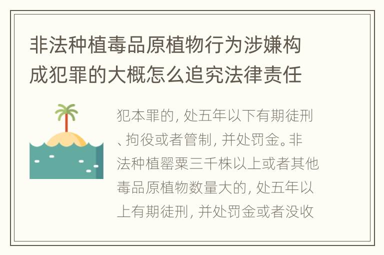 非法种植毒品原植物行为涉嫌构成犯罪的大概怎么追究法律责任