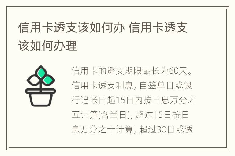 信用卡透支该如何办 信用卡透支该如何办理