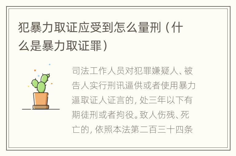 犯暴力取证应受到怎么量刑（什么是暴力取证罪）