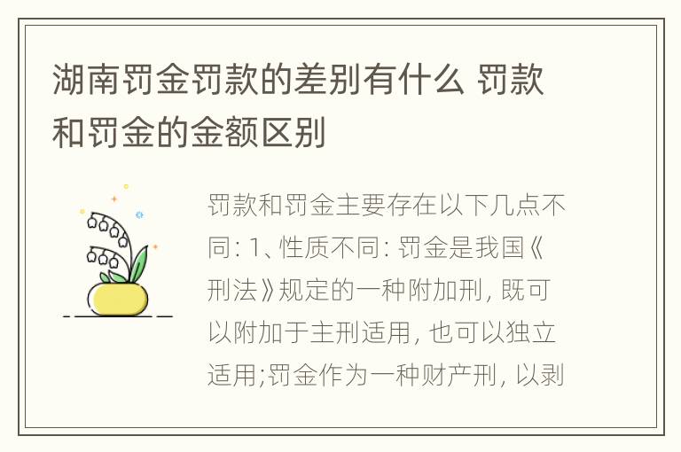 湖南罚金罚款的差别有什么 罚款和罚金的金额区别