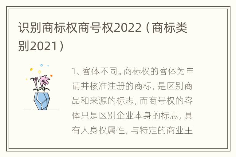 识别商标权商号权2022（商标类别2021）