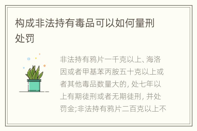 构成非法持有毒品可以如何量刑处罚