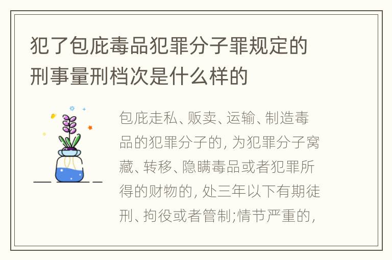 犯了包庇毒品犯罪分子罪规定的刑事量刑档次是什么样的