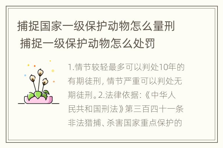 捕捉国家一级保护动物怎么量刑 捕捉一级保护动物怎么处罚