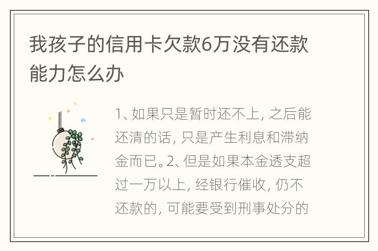 我孩子的信用卡欠款6万没有还款能力怎么办