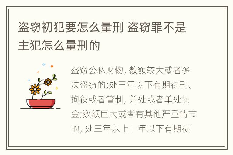 盗窃初犯要怎么量刑 盗窃罪不是主犯怎么量刑的