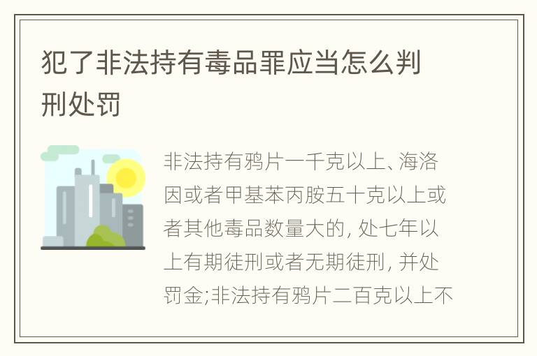 犯了非法持有毒品罪应当怎么判刑处罚