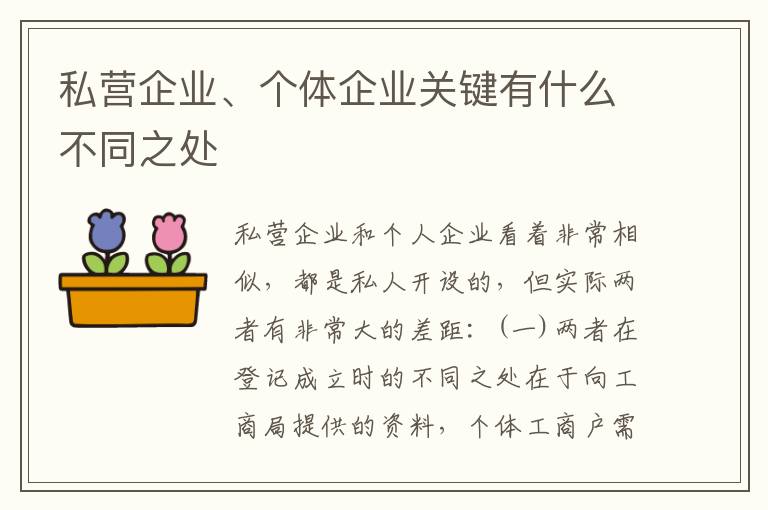 私营企业、个体企业关键有什么不同之处