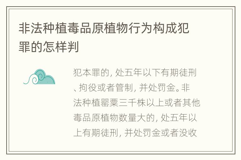 非法种植毒品原植物行为构成犯罪的怎样判