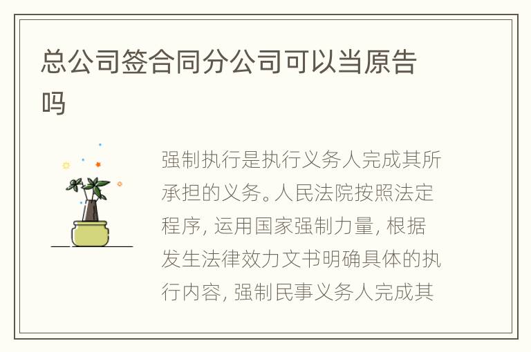 总公司签合同分公司可以当原告吗