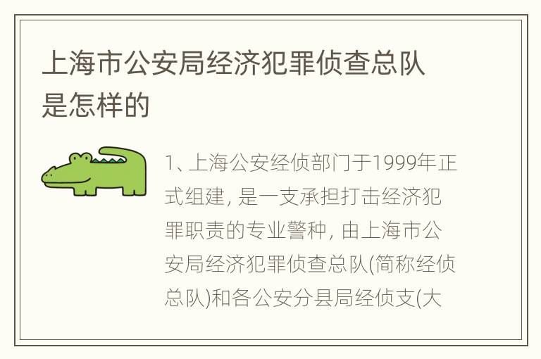 上海市公安局经济犯罪侦查总队是怎样的