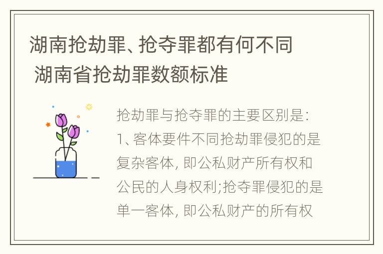 湖南抢劫罪、抢夺罪都有何不同 湖南省抢劫罪数额标准