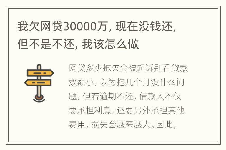 我欠网贷30000万，现在没钱还，但不是不还，我该怎么做