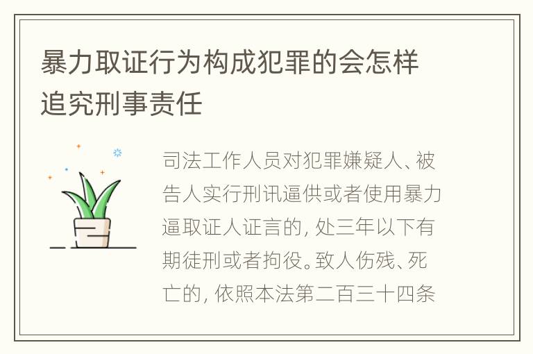 暴力取证行为构成犯罪的会怎样追究刑事责任