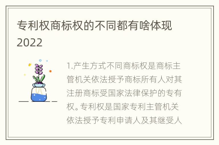 专利权商标权的不同都有啥体现2022