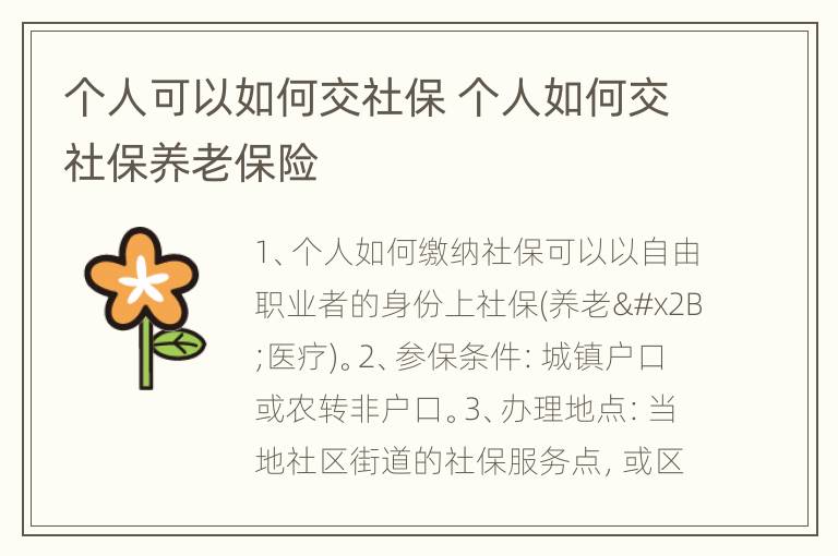 个人可以如何交社保 个人如何交社保养老保险