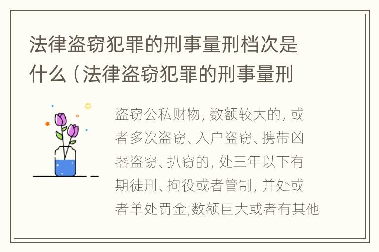 法律盗窃犯罪的刑事量刑档次是什么（法律盗窃犯罪的刑事量刑档次是什么）