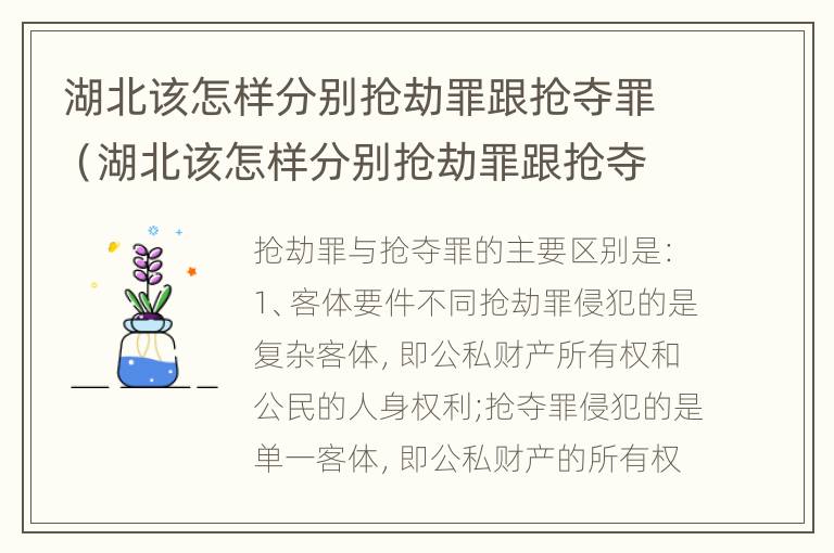 湖北该怎样分别抢劫罪跟抢夺罪（湖北该怎样分别抢劫罪跟抢夺罪呢）