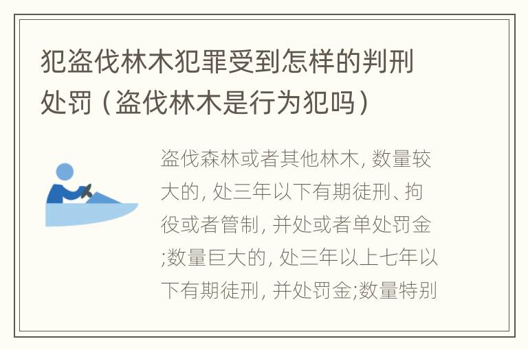 犯盗伐林木犯罪受到怎样的判刑处罚（盗伐林木是行为犯吗）