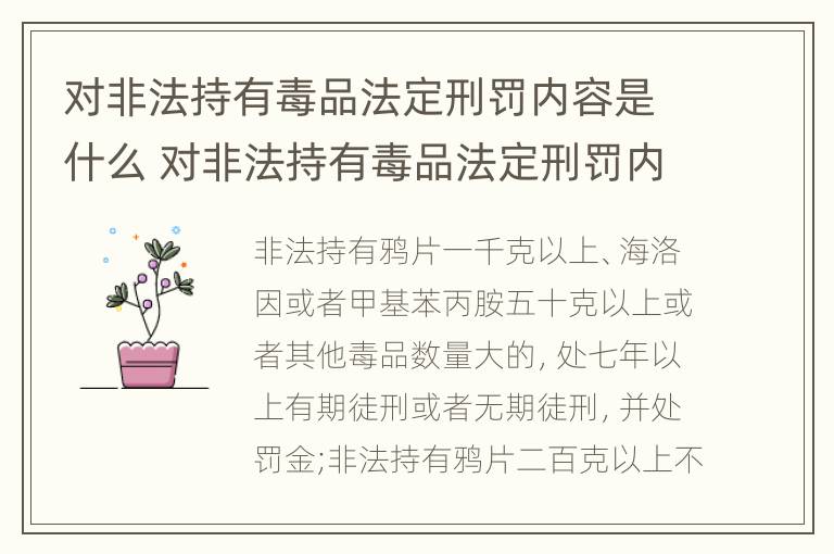 对非法持有毒品法定刑罚内容是什么 对非法持有毒品法定刑罚内容是什么意思