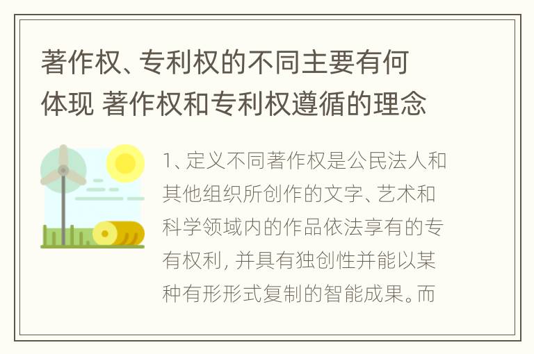 著作权、专利权的不同主要有何体现 著作权和专利权遵循的理念