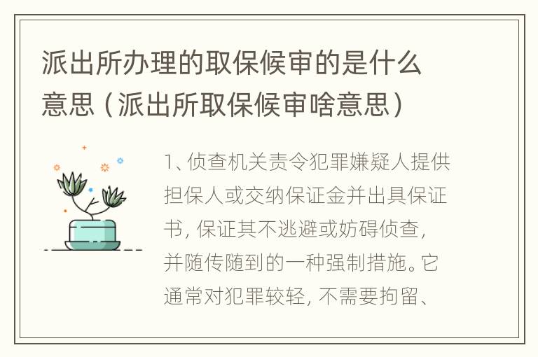 派出所办理的取保候审的是什么意思（派出所取保候审啥意思）