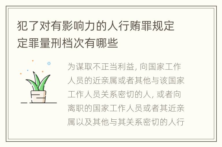 犯了对有影响力的人行贿罪规定定罪量刑档次有哪些