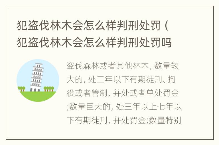 犯盗伐林木会怎么样判刑处罚（犯盗伐林木会怎么样判刑处罚吗）