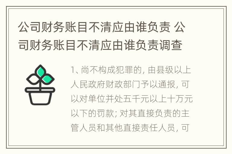 公司财务账目不清应由谁负责 公司财务账目不清应由谁负责调查