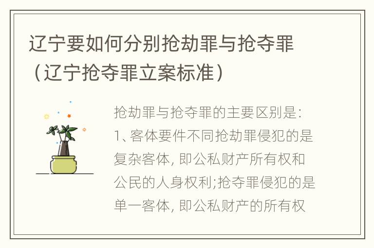 辽宁要如何分别抢劫罪与抢夺罪（辽宁抢夺罪立案标准）