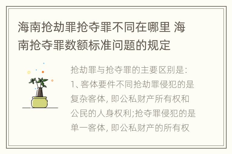 海南抢劫罪抢夺罪不同在哪里 海南抢夺罪数额标准问题的规定