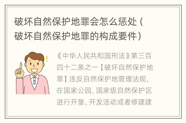 破坏自然保护地罪会怎么惩处（破坏自然保护地罪的构成要件）