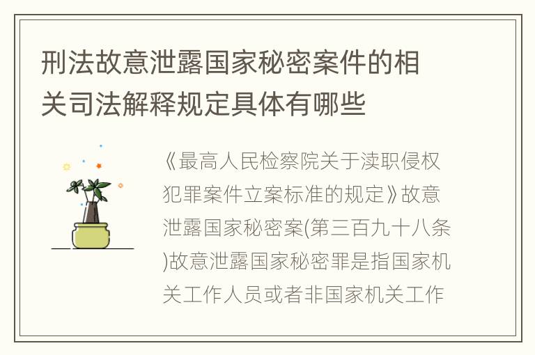 刑法故意泄露国家秘密案件的相关司法解释规定具体有哪些