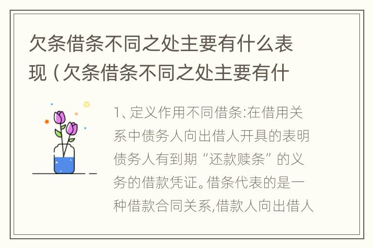 欠条借条不同之处主要有什么表现（欠条借条不同之处主要有什么表现呢）