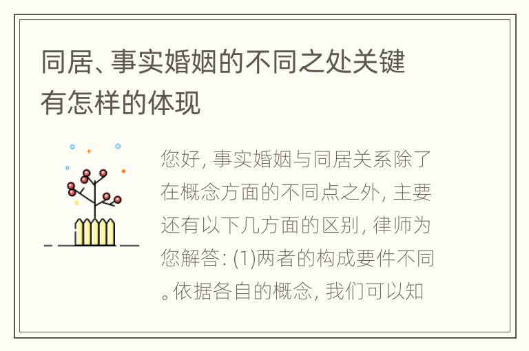 同居、事实婚姻的不同之处关键有怎样的体现