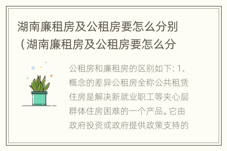 湖南廉租房及公租房要怎么分别（湖南廉租房及公租房要怎么分别摇号）