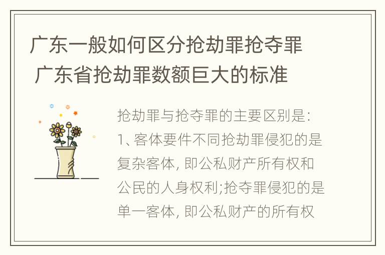 广东一般如何区分抢劫罪抢夺罪 广东省抢劫罪数额巨大的标准