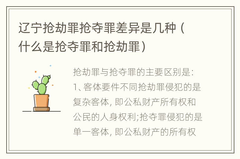 辽宁抢劫罪抢夺罪差异是几种（什么是抢夺罪和抢劫罪）